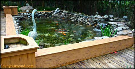 How To Build A Fish Pond Above Ground - Average … - raincitystudios.com