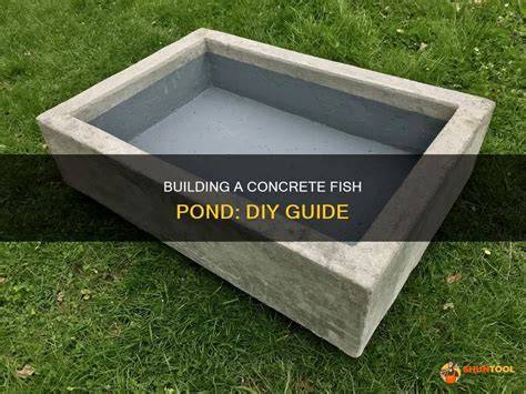 How to Build a Fish Pond with Concrete - Agri Farming - raincitystudios.com