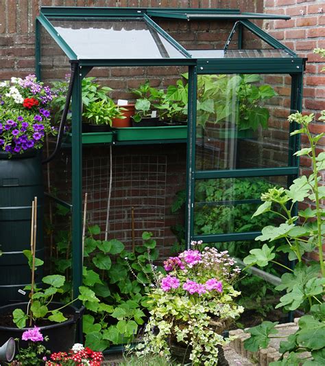 How to Build a Greenhouse in 4 Easy Steps - balustradellc
