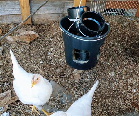 How to Build a Hanging Chicken Feeder - balustradellc