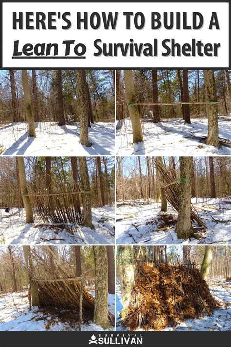 How To Build A Lean-To Survival Shelter With No Tools. Step By Step ... - balustradellc