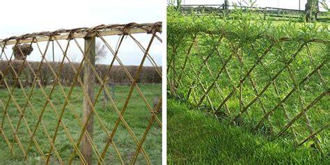 How to build a living fence - Popular Science - raincitystudios.com
