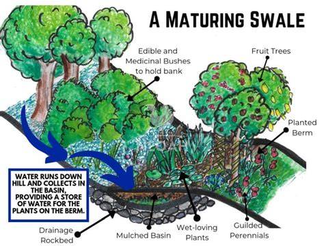 How to Build a Permaculture Swale - raincitystudios.com