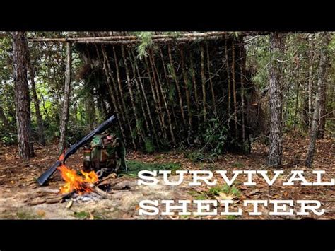 How to Build a Primitive Shelter: Step-by-Step Guide for ... - balustradellc