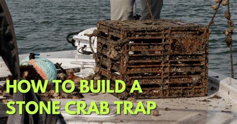 How to Build a Proper Stone Crab Trap - balustradellc