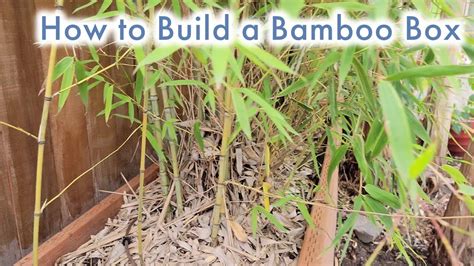 How To Build a Raised Box for Bamboo Container Growing - balustradellc