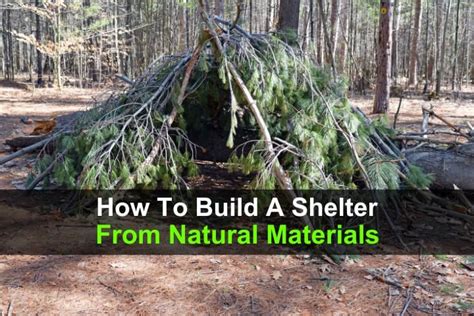 How to Build a Shelter from Natural Materials - balustradellc