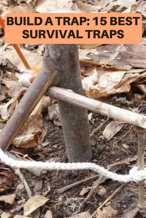 How to Build a Trap: 15 Best Survival Traps - balustradellc