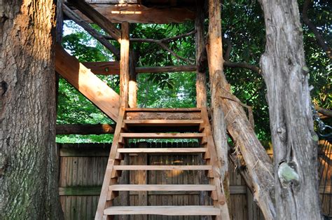 How To Build a Treehouse: In-depth Guide - The Hemloft - balustradellc