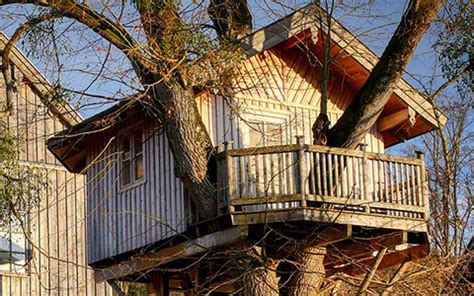 How To Build a Treehouse in 11 Easy Steps - balustradellc
