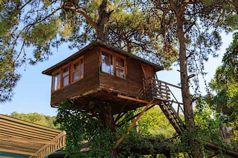 How to Build a Treehouse Simply & Safely - balustradellc