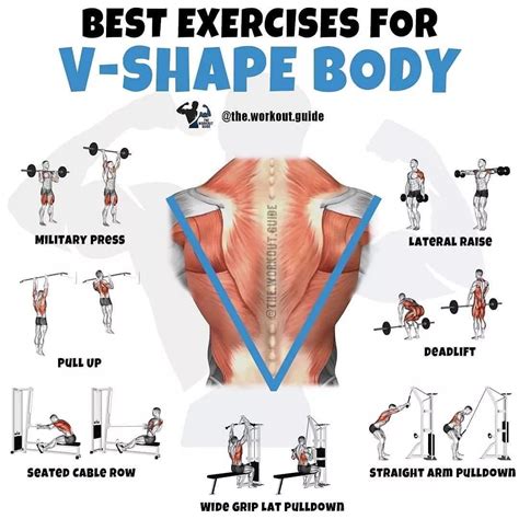 How to Build a V-Shape Back (FULL Workout Routine) - balustradellc