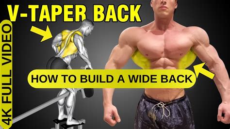 How To Build A V-Tapered Back (Best Exercises) - balustradellc