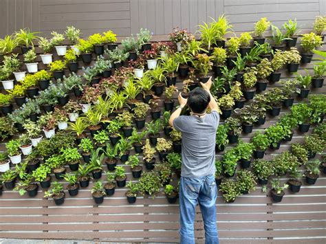 How to Build a Vertical Plant Rack for Small Gardens - raincitystudios.com