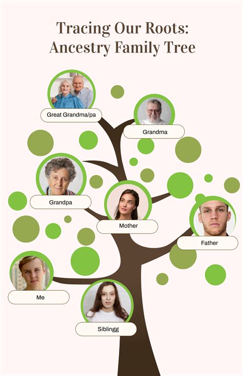 How to build an Ancestry Family Tree - balustradellc
