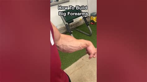 How to Build Bigger Forearms Like Sam Sulek - balustradellc