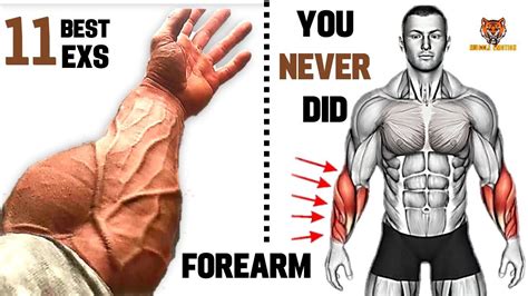 How To Build Huge Forearms | Training Science … - balustradellc