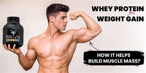 How to Build Lean-to Addition | Free PDF Leanto Roof … - balustradellc