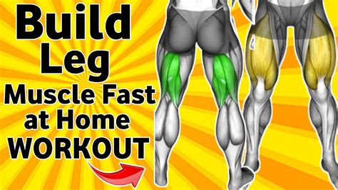 How to build Leg Fast - 5 Best exercises leg - balustradellc