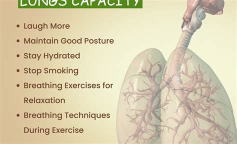 How to Build Lung Capacity & Example Workouts - balustradellc