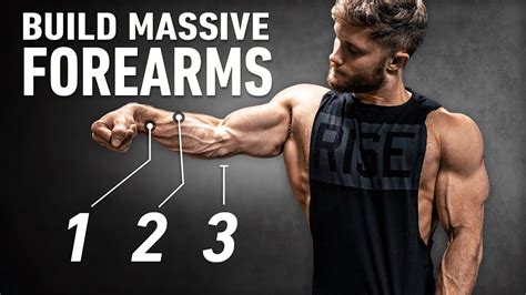 How to Build Massive Forearms at Home: 3 Simple Exercises for … - balustradellc