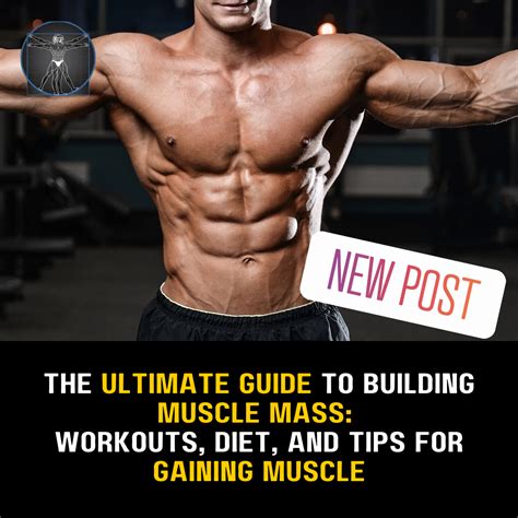 How to Build Muscle: The Ultimate Mass Gaining Guide - balustradellc