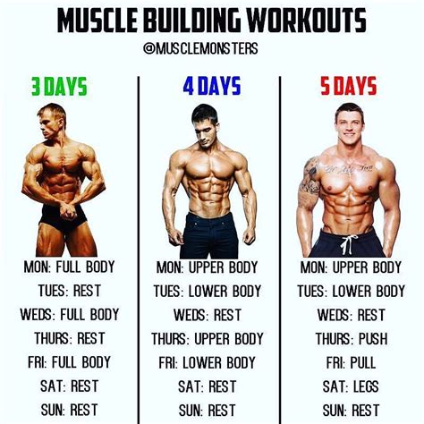 How To Build Muscle At Home (Full Plan) - balustradellc