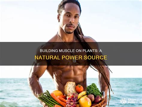 How to Build Muscle on a Plant-Based Diet ... - The … - balustradellc