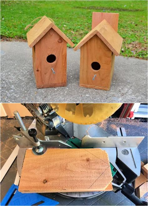How To Build Your Birdhouses - Shasta Birding Society - balustradellc