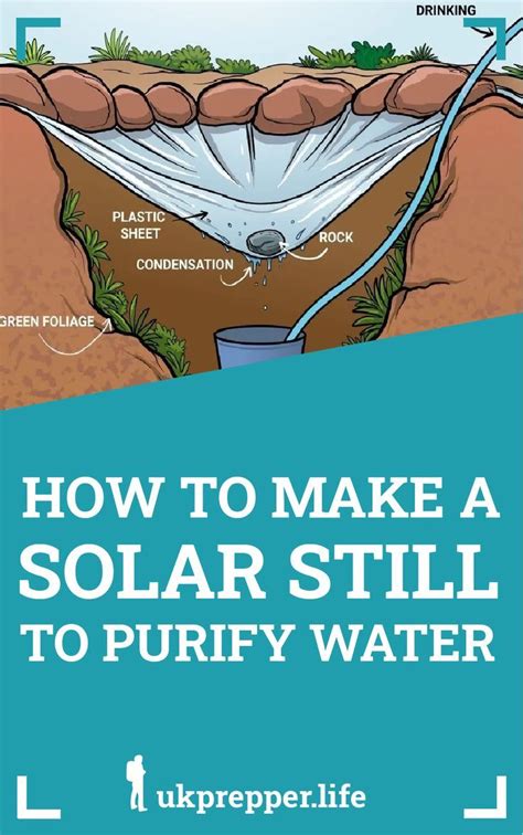 How to Build Your Own Solar Still for Camping Adventures - balustradellc