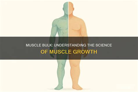 How to Bulk for Muscle Growth - Meaningful Macros - balustradellc