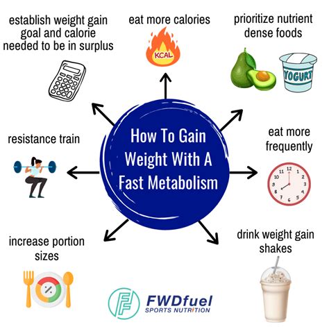 How To Bulk Up With Fast Metabolism | My Projects - balustradellc