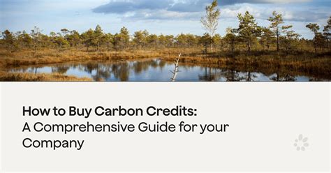How to Buy Carbon Credits - Gaia - balustradellc