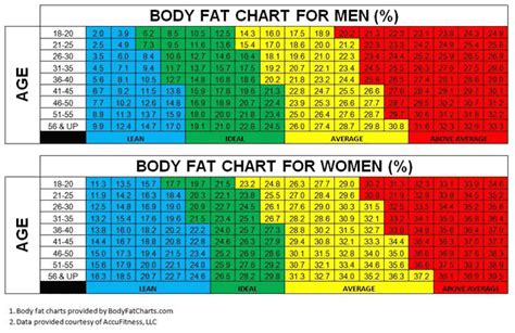 How to Calculate Body Fat Percentage Accurately: 7 … - balustradellc
