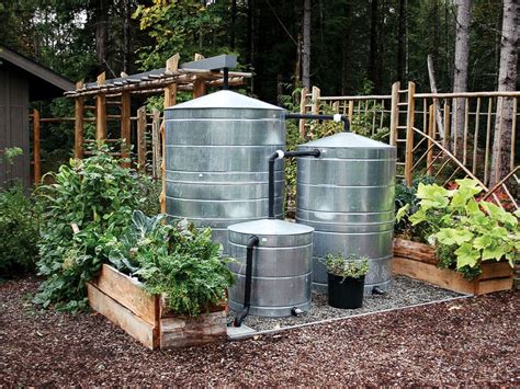 How to Capture and Store Rainwater for Rainfed Gardens - balustradellc