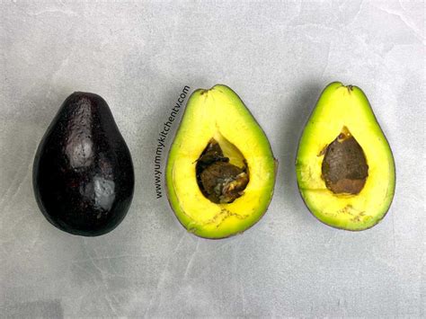 How to care for alligator avocado - balustradellc