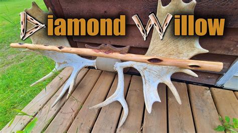 How to Carve Diamond Willow Walking Sticks | ehow - balustradellc