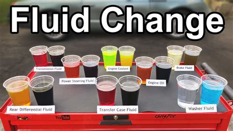 How to Change EVERY FLUID in your Car or Truck (Oil, Transmission ... - balustradellc