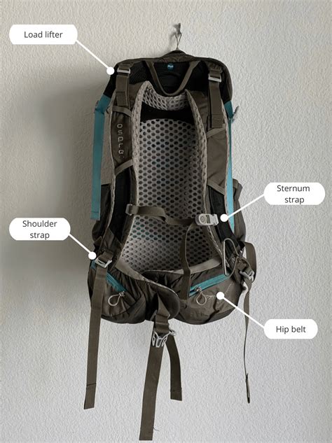 How to Choose and Adjust a Hiking Backpack the Right Way! Your Step-by ... - balustradellc