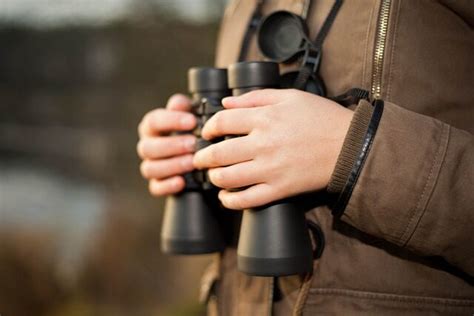 How to Choose Binoculars for Birdwatching Like a Pro - balustradellc