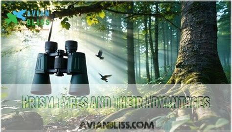 How to Choose Birding Binoculars: Expert Guide for … - balustradellc