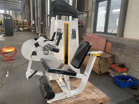 How to Choose the Best Gym Equipment Leg Curl Machine - balustradellc