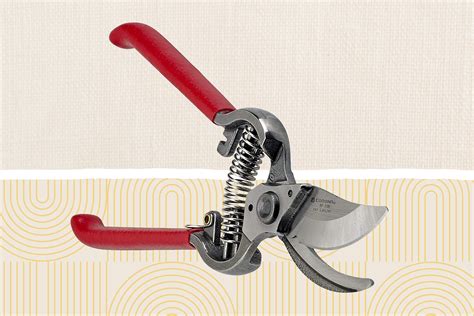 How to Choose the Best Pruning Shears for Your Garden - balustradellc