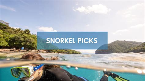 How to choose the best snorkel gear for beginners and … - balustradellc