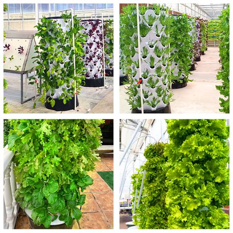 How to Choose the Best Vertical Farming System for Your Needs - balustradellc