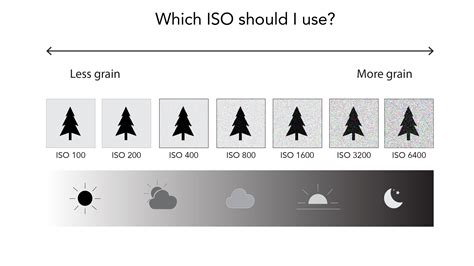How to Choose the Right ISO for your Digital Photography - balustradellc