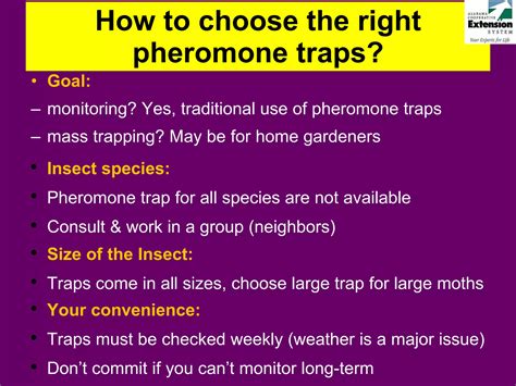 How to Choose the Right Pheromone Trap for Your Garden - raincitystudios.com