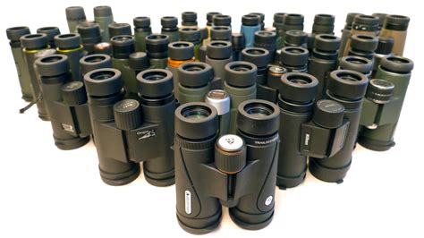 How To Choose Your Binoculars | Audubon - balustradellc