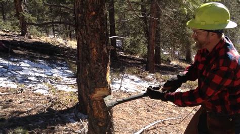 How To Chop Down A Tree With An Axe - balustradellc