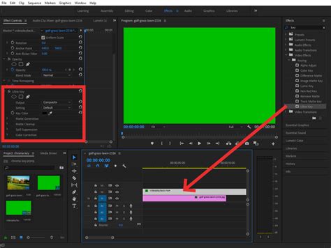 How to Chroma Key in Adobe Premiere Pro - balustradellc